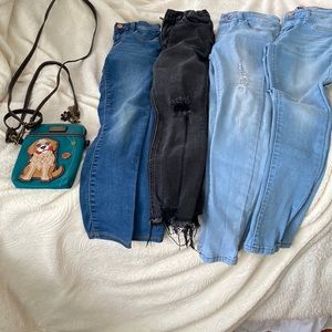 Everything all the jeans and the dog purse are in one bundle.
